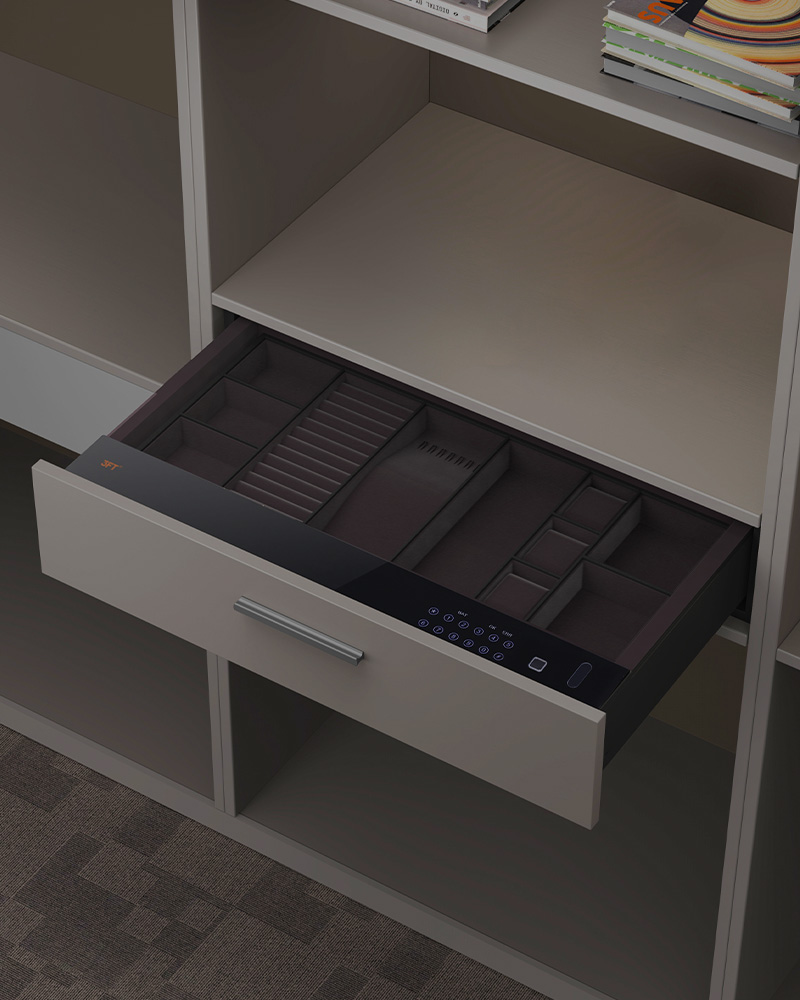 Biometric Safe Drawer 9.371