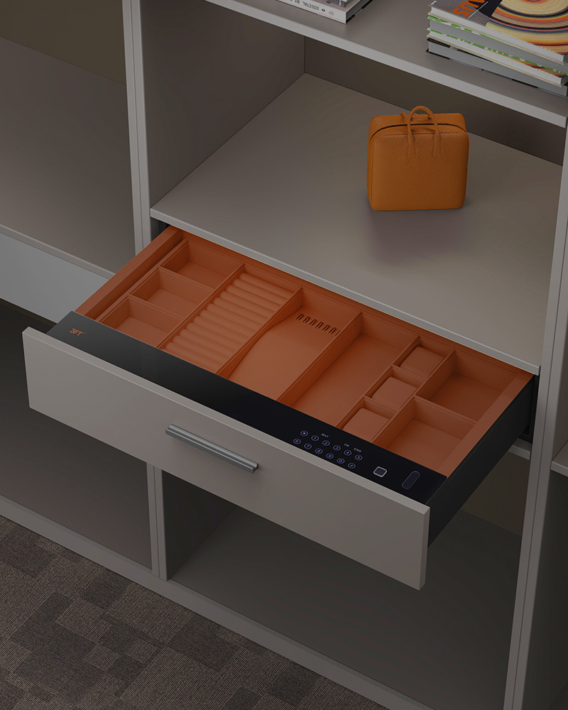 Biometric Safe Drawer 9.373