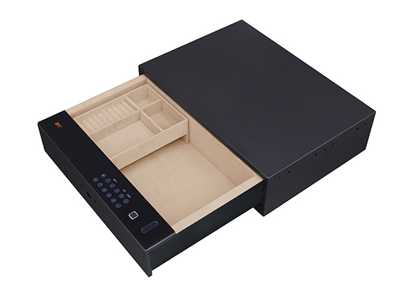 Biometric Safe Drawer 9.371 Color