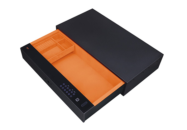 Biometric Safe Drawer 9.371 Color