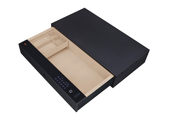 Biometric Safe Drawer 9.371 Color