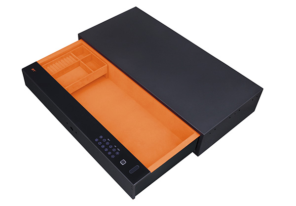 Biometric Safe Drawer 9.371 Color
