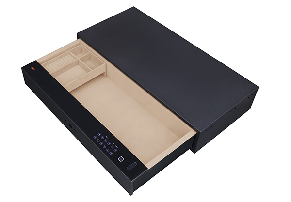 Biometric Safe Drawer 9.371 Color