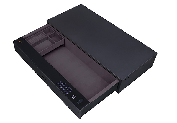 Biometric Safe Drawer 9.371 Color