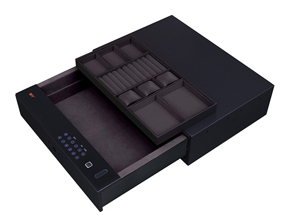 Biometric Safe Drawer 9.372 562 Brownish Gray