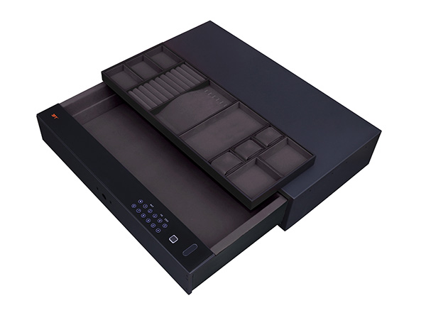 Biometric Safe Drawer 9.372 762 Brownish Gray