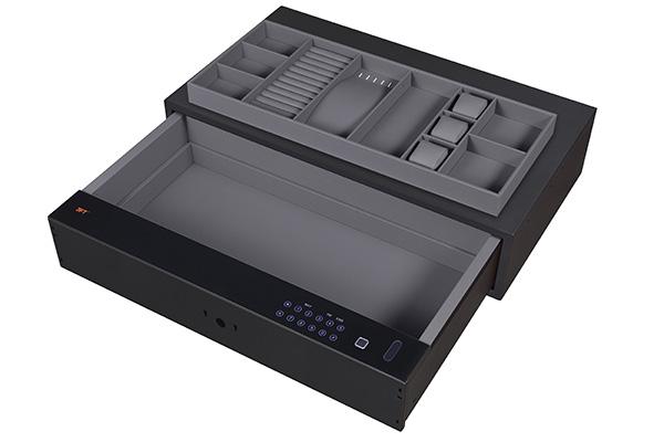 Biometric Safe Drawer 9.373 762-862 Gray
