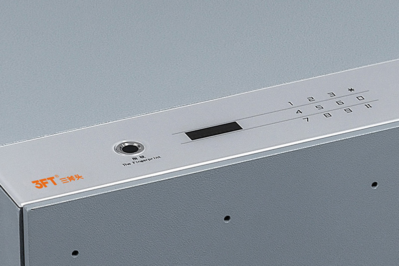 Concealed Wardrobe Safe 9.601 Features Smart Lock Panel