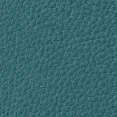 Leather Color C-018