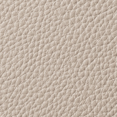 Leather Color C-023