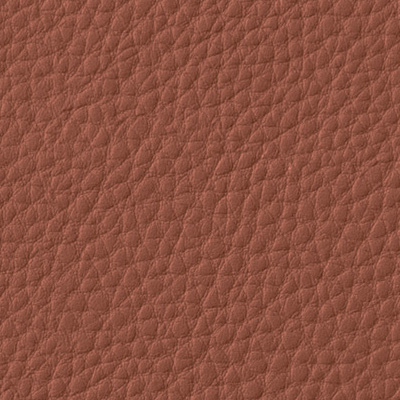 Leather Color C-026