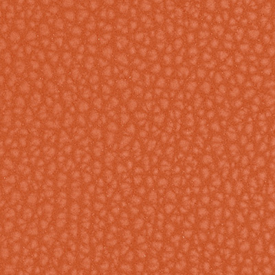 Leather Color C-029