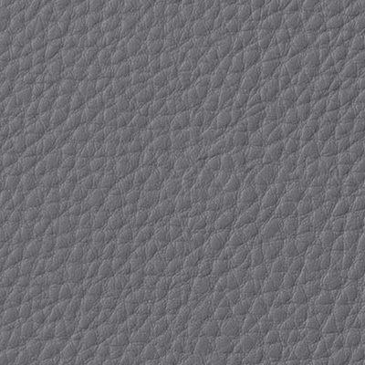 Leather Color C011 Gray