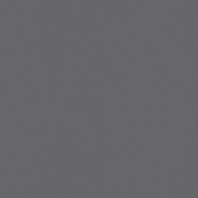 Leather Color C601 Gray