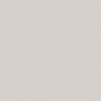 Leather Color C602 Porcelain White