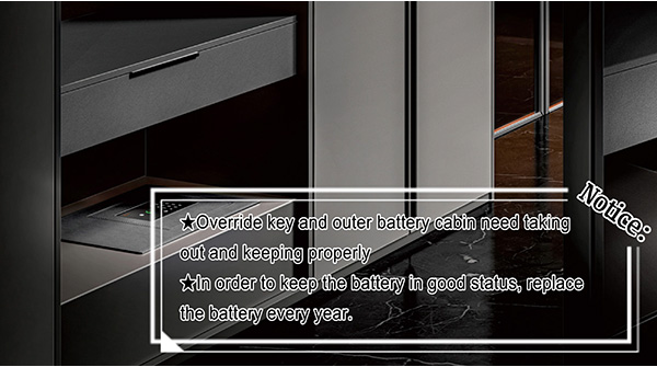 How to install leather wardrobe safe F611